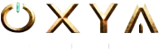 partner icon